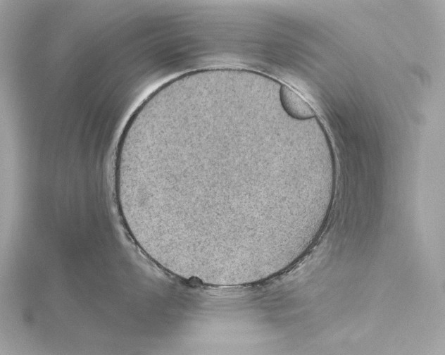 X0000115411008200912011222