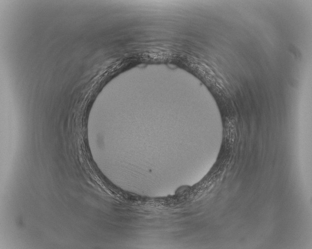 X0000115411009200912011221