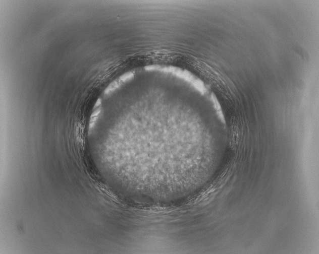 X0000115411010200912011221