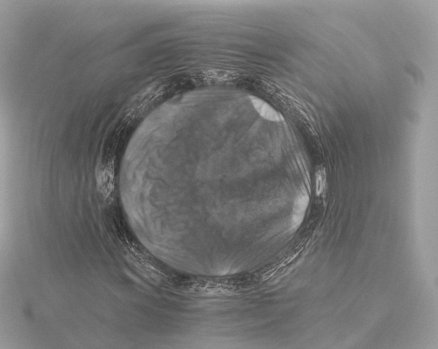 X0000115411011200912011221