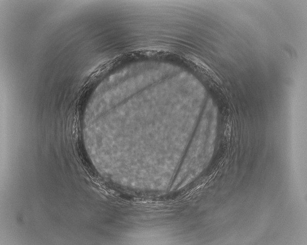 X0000115411014200912011221