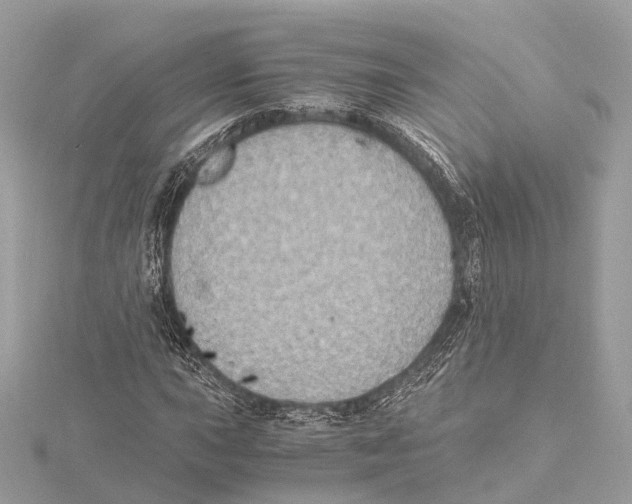 X0000115411015200912011221