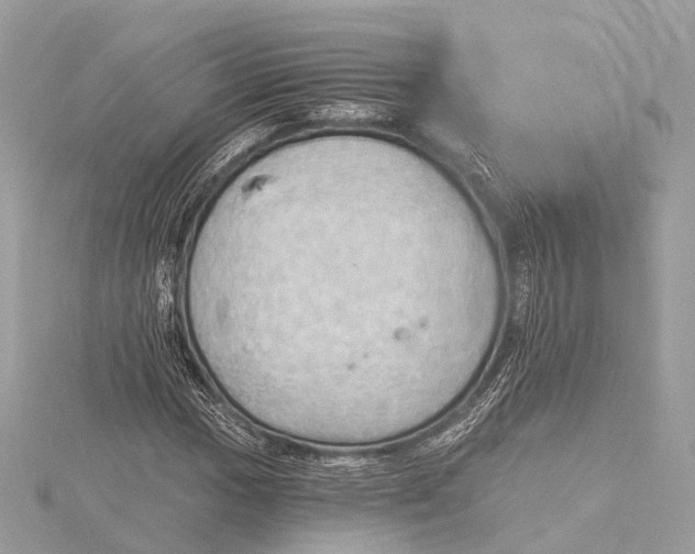 X0000115411017200912011221