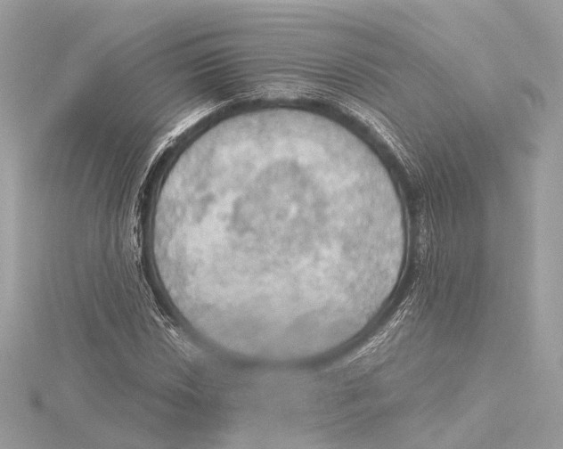 X0000115411018200912011221