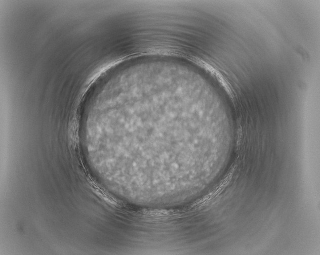 X0000115411019200912011221