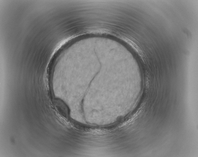 X0000115411022200912011221