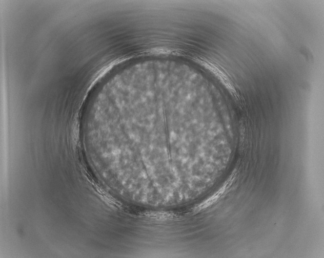 X0000115411023200912011221