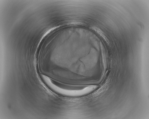 X0000115411024200912011221