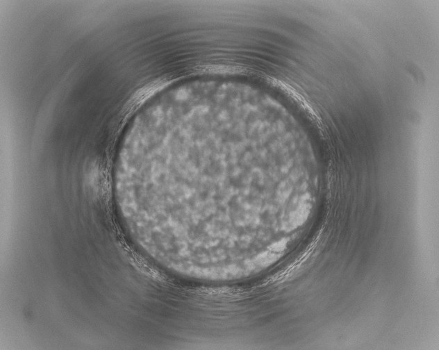 X0000115411025200912011221