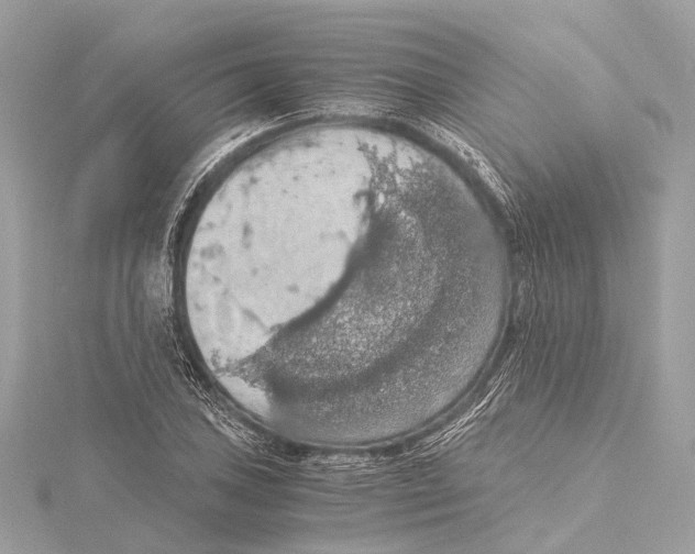 X0000115411027200912011221