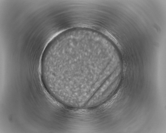 X0000115411028200912011221