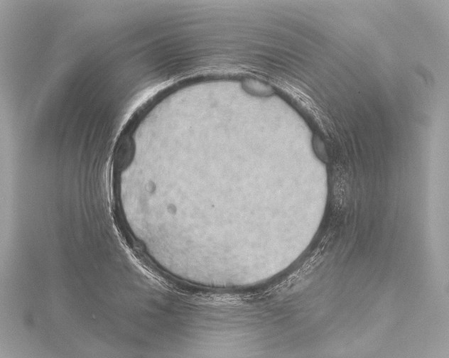 X0000115411030200912011221