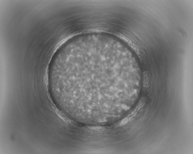 X0000115411031200912011221