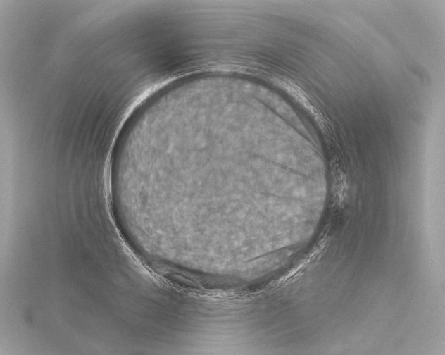 X0000115411032200912011221