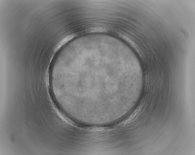 X0000115411034200912011221