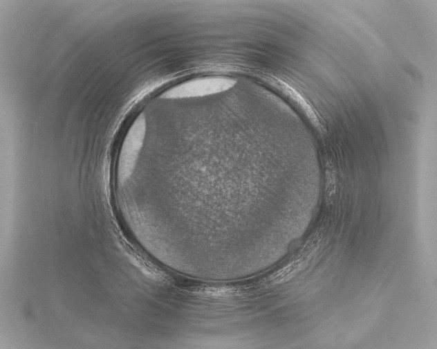 X0000115411035200912011221