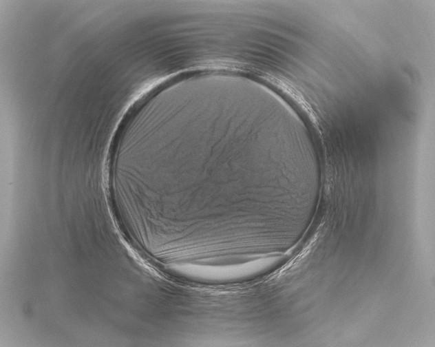 X0000115411037200912011221