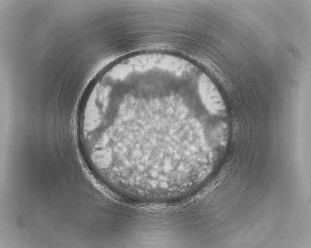 X0000115411038200912011221