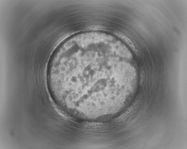 X0000115411039200912011221