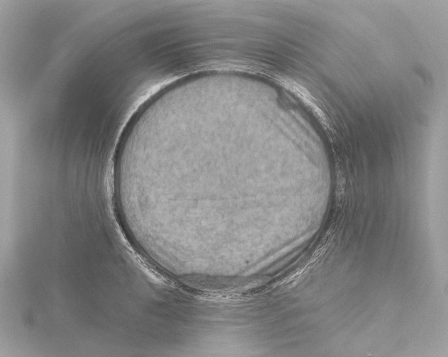 X0000115411040200912011221