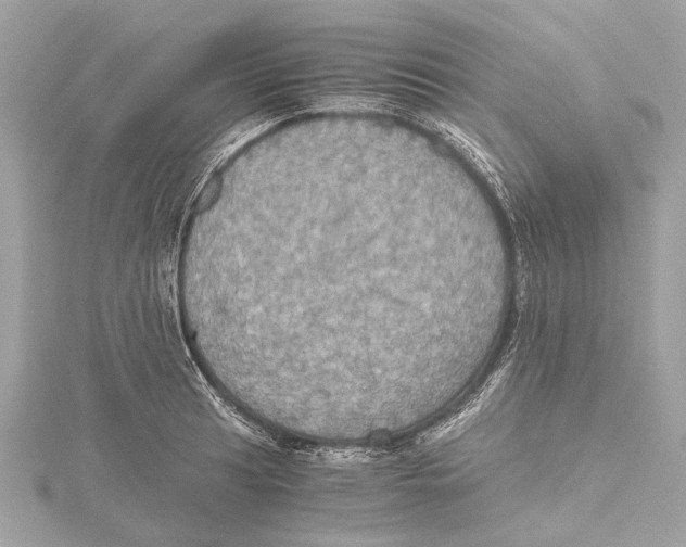 X0000115411041200912011221