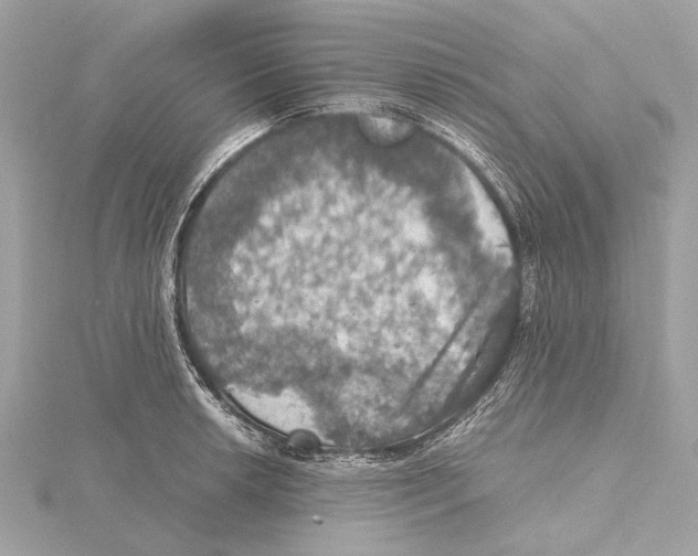 X0000115411042200912011221