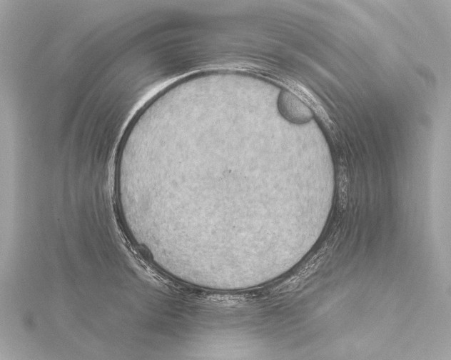 X0000115411044200912011221