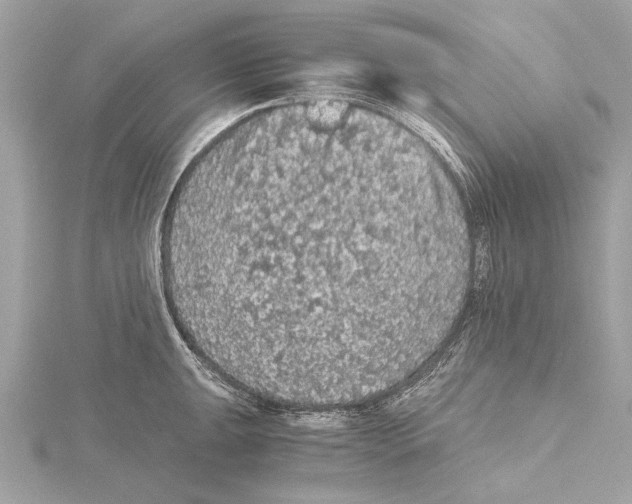 X0000115411047200912011221