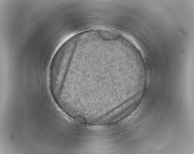 X0000115411048200912011221