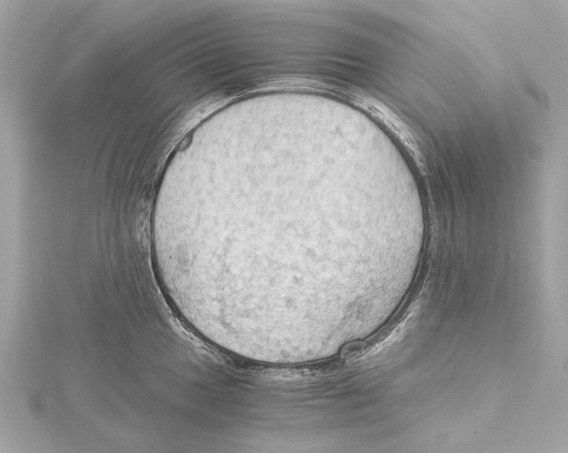 X0000115411049200912011221