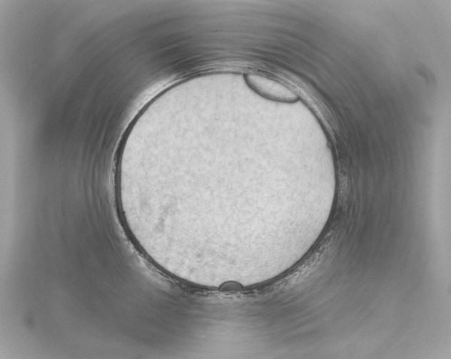 X0000115411050200912011221