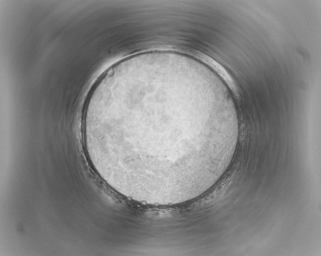 X0000115411051200912011221