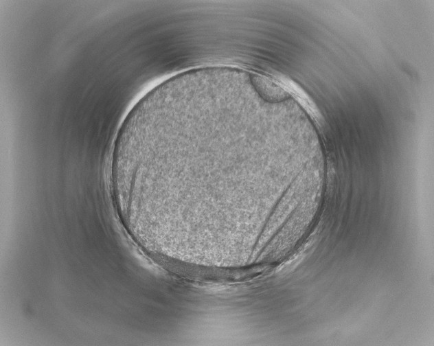 X0000115411052200912011221