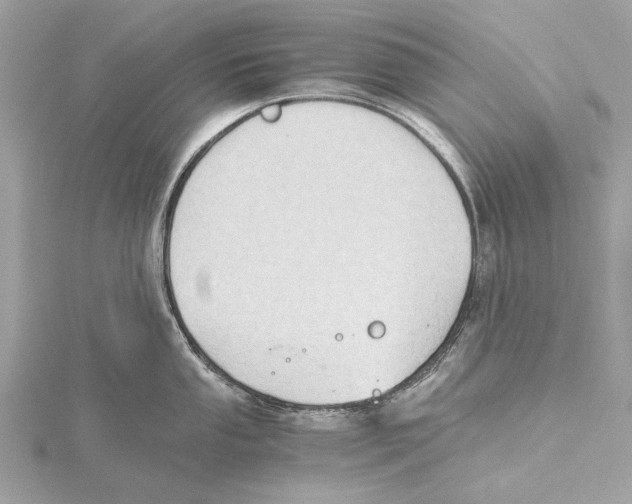 X0000115411053200912011221