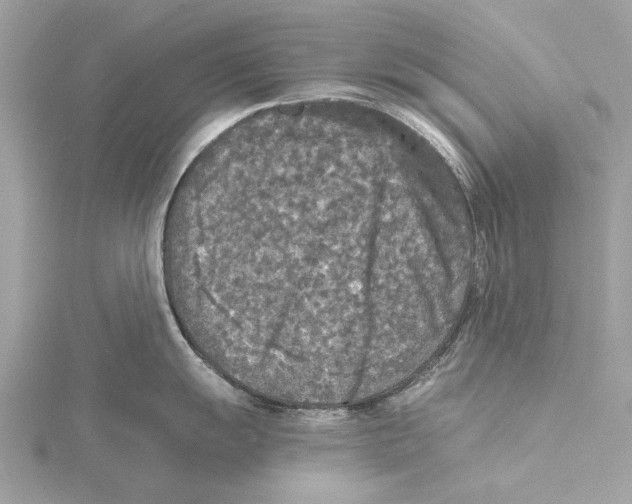 X0000115411055200912011221