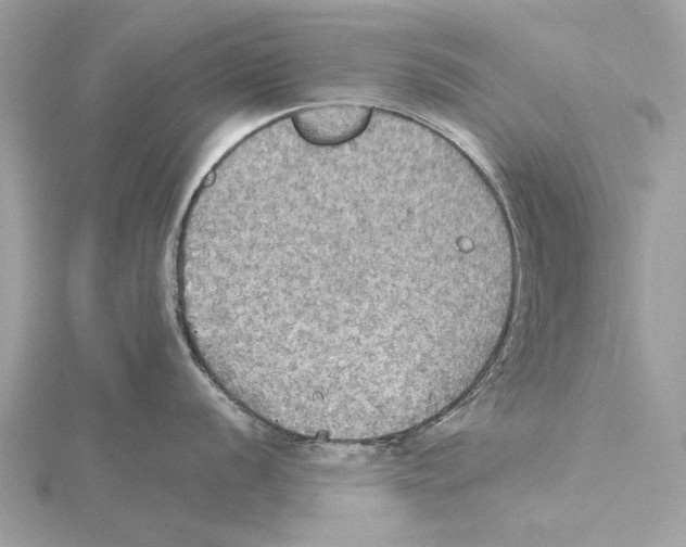 X0000115411056200912011221