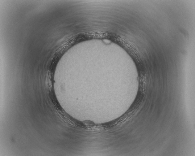 X0000115411058200912011221