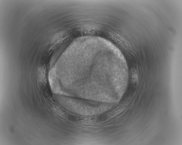 X0000115411060200912011221