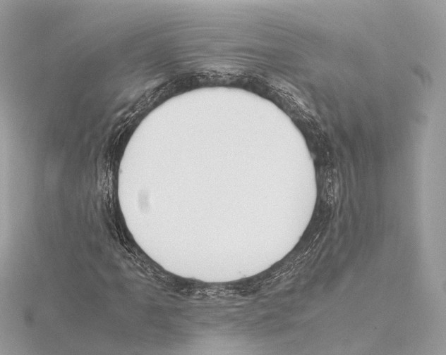 X0000115411061200912011221