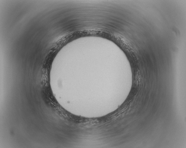 X0000115411062200912011221