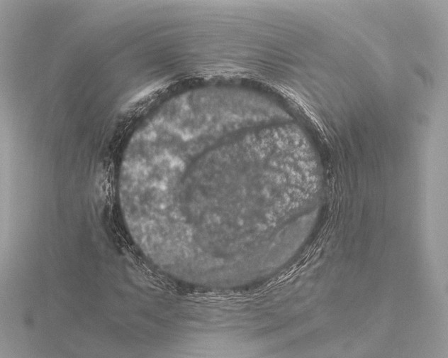 X0000115411063200912011221