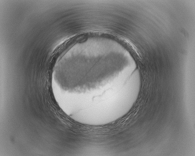 X0000115411064200912011221