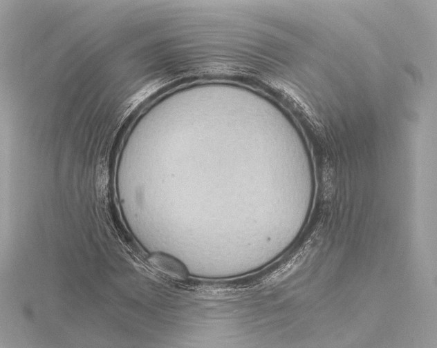 X0000115411065200912011221