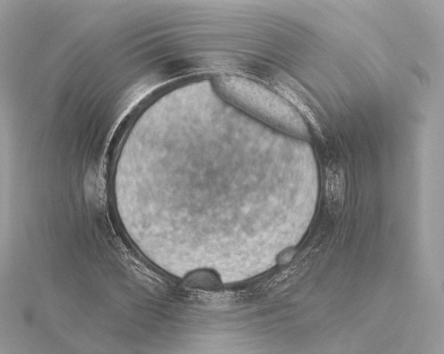 X0000115411068200912011221