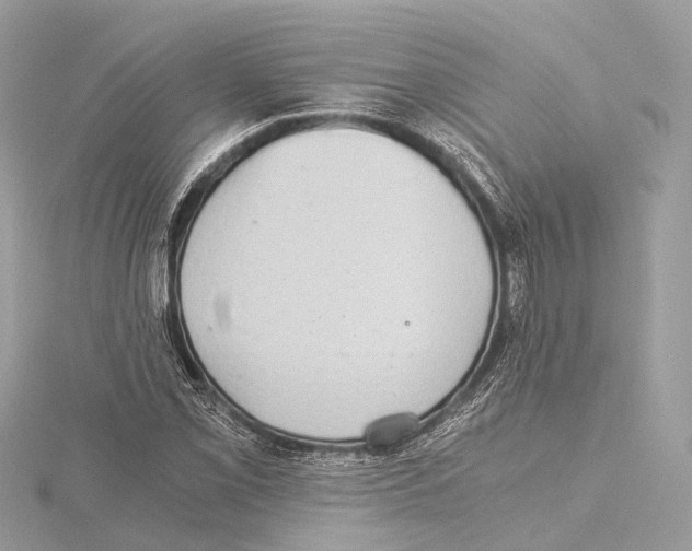 X0000115411069200912011221