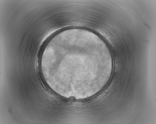 X0000115411070200912011221