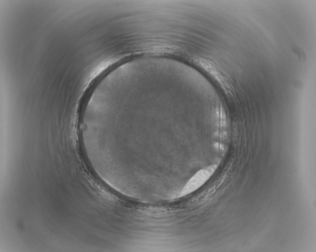 X0000115411071200912011221