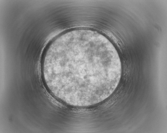 X0000115411072200912011221