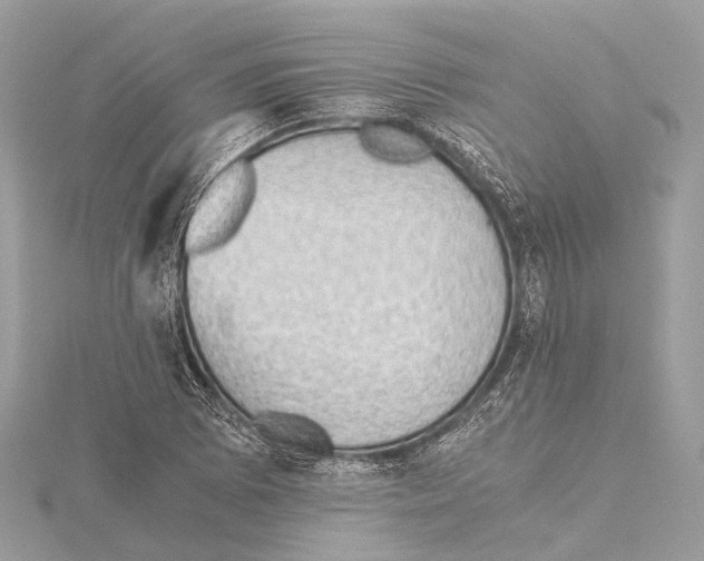 X0000115411073200912011221