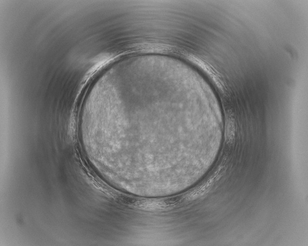 X0000115411074200912011221